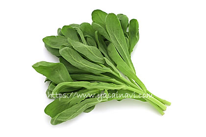 イタリアン春菊