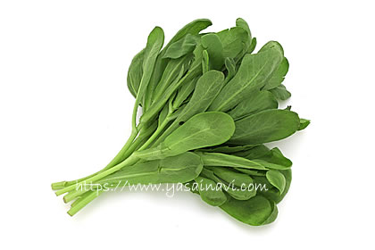 イタリアン春菊