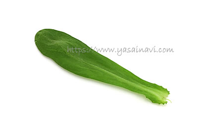 イタリアン春菊