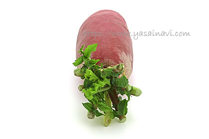 レディーサラダ