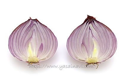 高ケルセチン紫たまねぎ