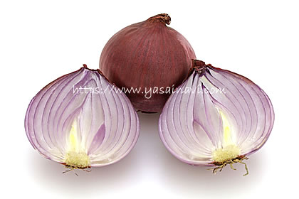 高ケルセチン紫たまねぎ