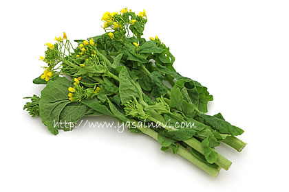 食用菜の花 食用菜の花