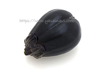 新潟黒十全