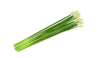 花にら 花にら