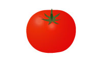 大玉トマト 大玉トマト
