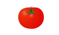 フルーツトマト(高糖度トマト) フルーツトマト(高糖度トマト)