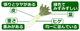 選び方