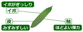 選び方