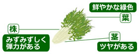 選び方