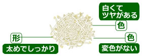 選び方