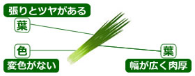 選び方