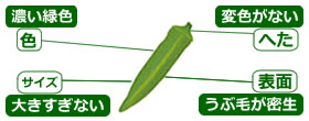 選び方