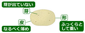 選び方