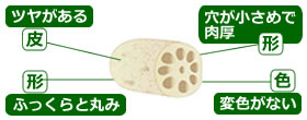 選び方