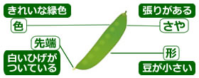 選び方