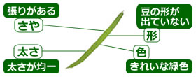 選び方