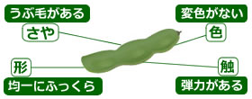 選び方