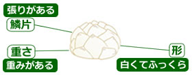 選び方